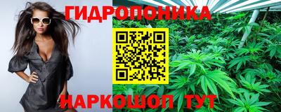 mdpv Ярославль