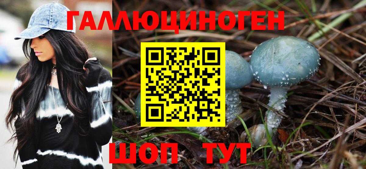 Псилоцибиновые грибы GOLDEN TEACHER Медногорск